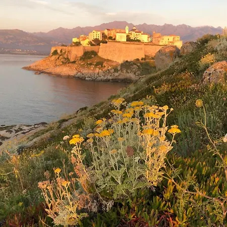 Nyaraló Les Galets Bleus De Calvi Calvi