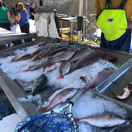 Les Galets Bleus De Calvi *